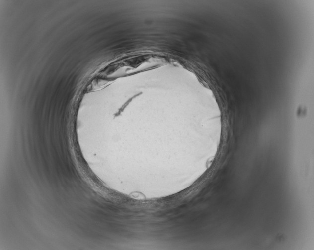 X0000113990049200911131127