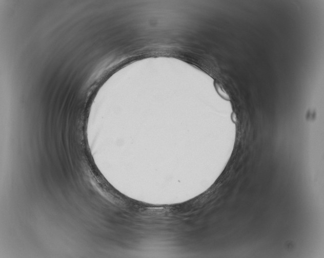 X0000113990050200911131127