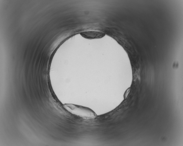 X0000113990052200911131127