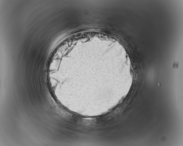 X0000113990053200911131127