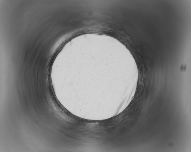 X0000113990054200911131127