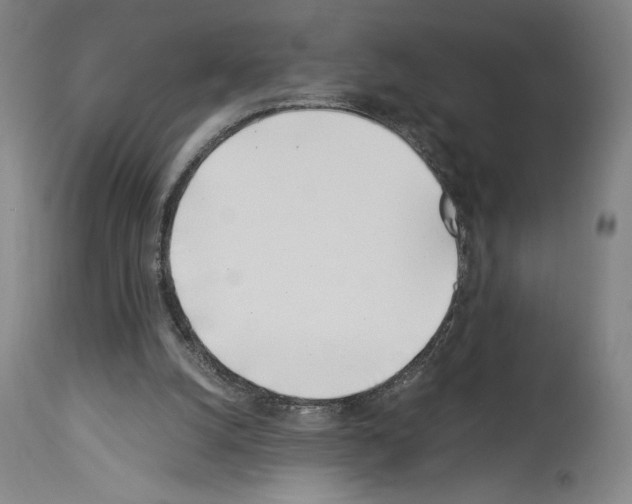 X0000113990056200911131127