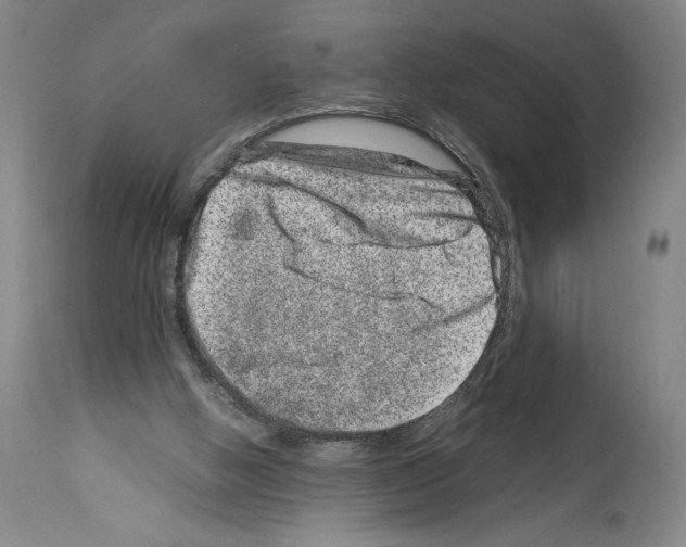 X0000113990058200911131127