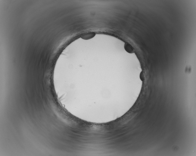 X0000113990060200911131127