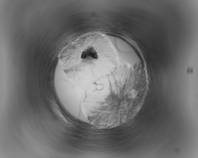 X0000113990061200911131127