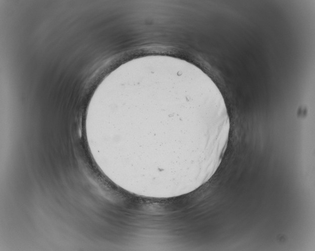 X0000113990062200911131127