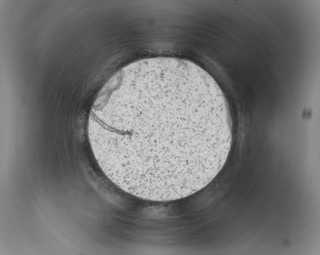 X0000113990065200911131127