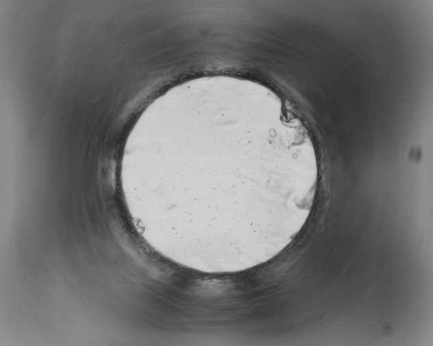 X0000113990067200911131127