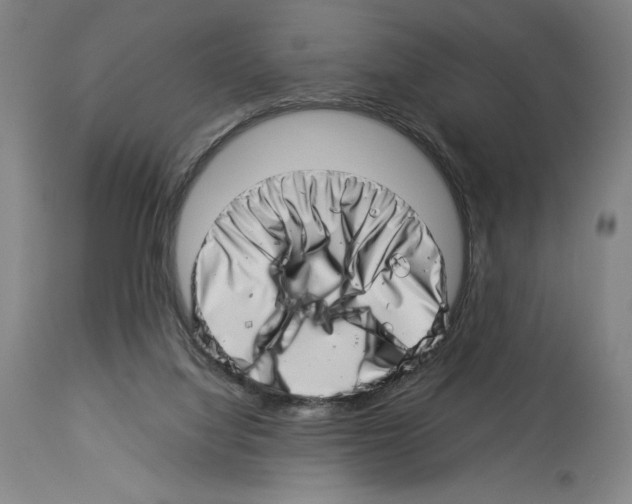 X0000113990068200911131127