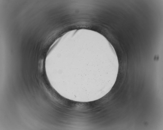 X0000113990070200911131127