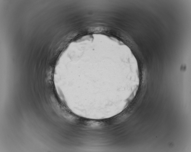 X0000113990073200911131127