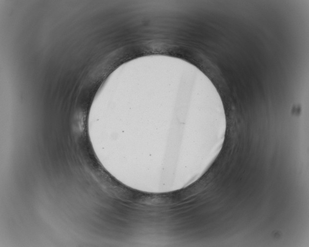 X0000113990075200911131127