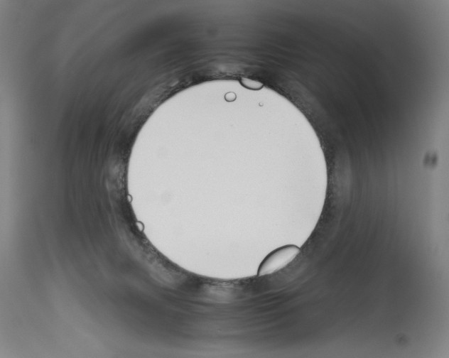 X0000113990079200911131127