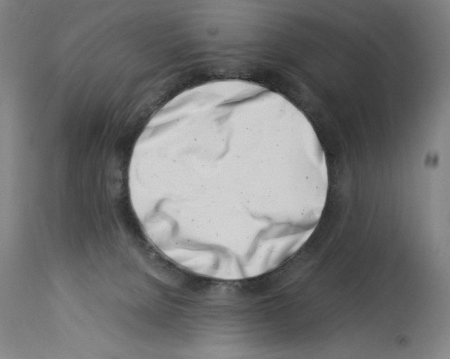 X0000113990080200911131127