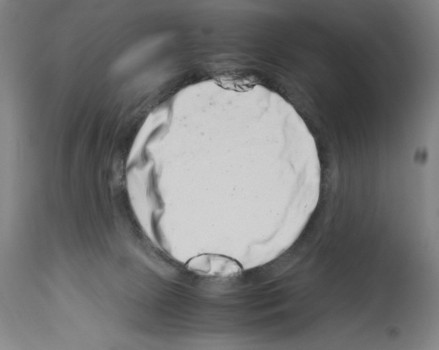 X0000113990081200911131127