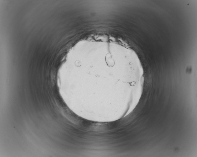 X0000113990082200911131127