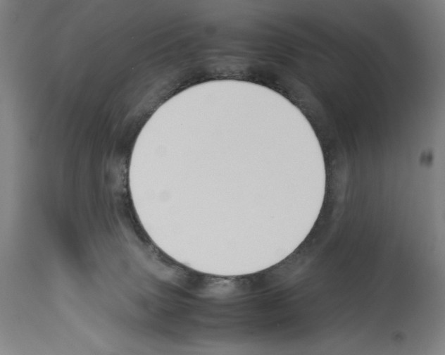 X0000113990083200911131127