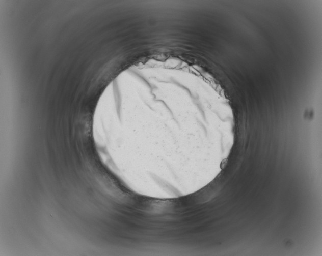 X0000113990085200911131127