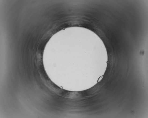 X0000113990087200911131127