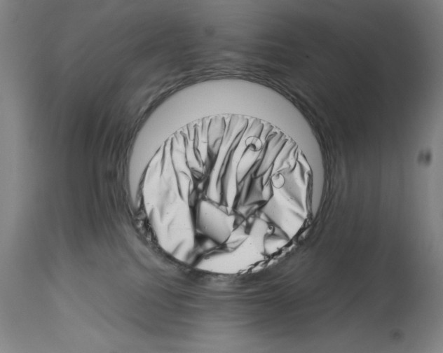 X0000113990088200911131127