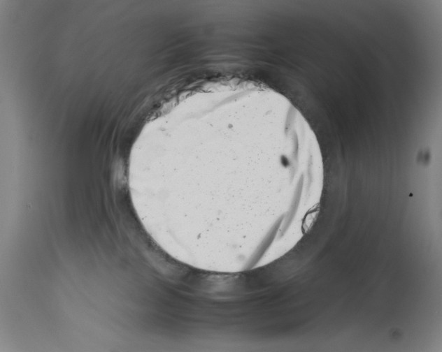 X0000113990089200911131127