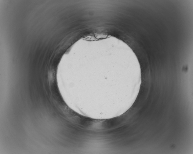 X0000113990090200911131127