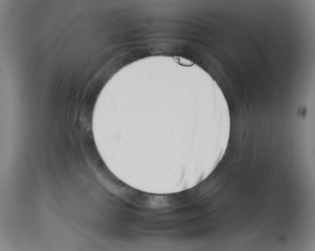 X0000113990091200911131127