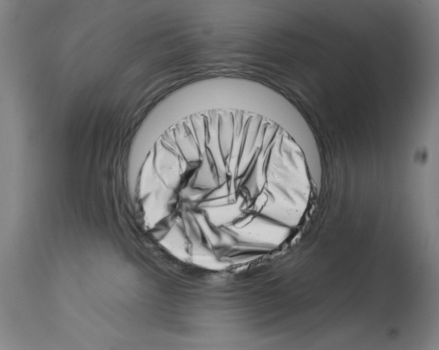 X0000113990092200911131127