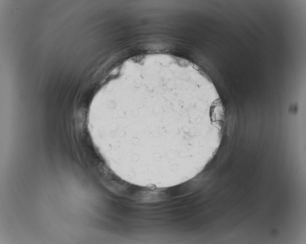 X0000113990093200911131127