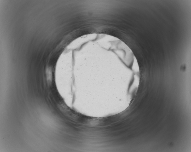 X0000113990094200911131127