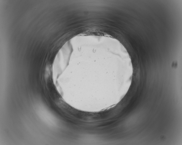 X0000113990095200911131127