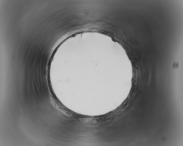 X0000113990100200911131127