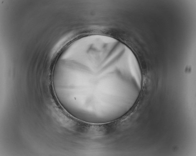 X0000113990101200911131127