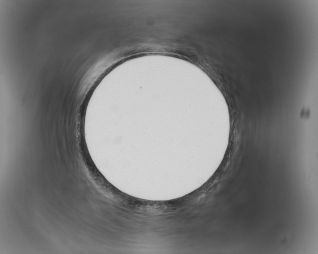 X0000113990103200911131127