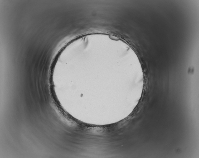 X0000113990104200911131127