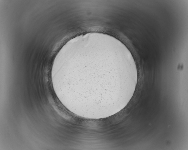 X0000113990106200911131127