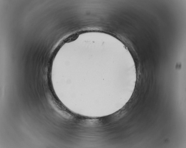 X0000113990108200911131127