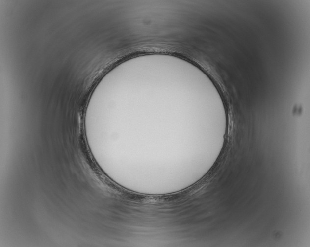 X0000113990109200911131127