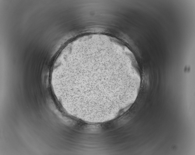 X0000113990110200911131127