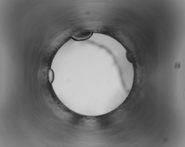 X0000113990113200911131127