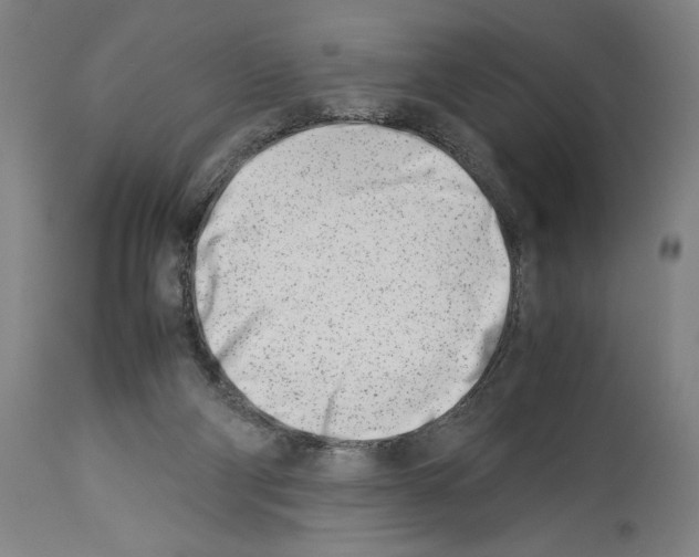 X0000113990114200911131126