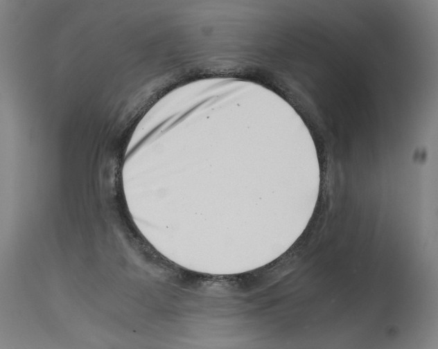 X0000113990115200911131126