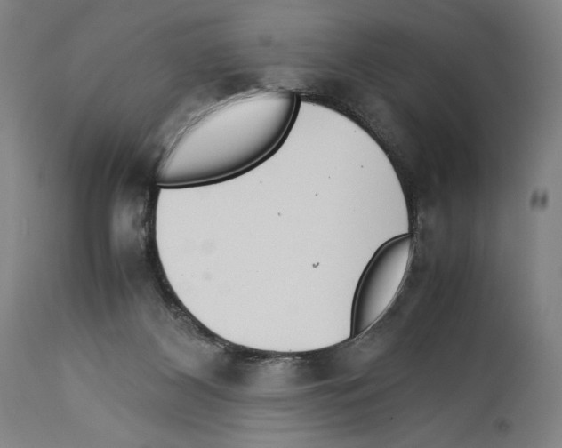 X0000113990116200911131126