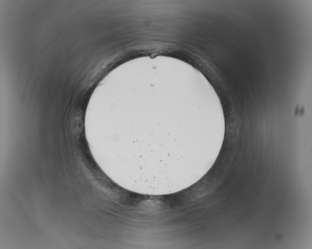 X0000113990119200911131126