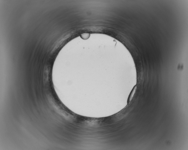 X0000113990120200911131126