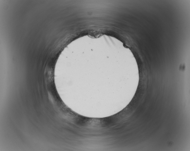 X0000113990123200911131126