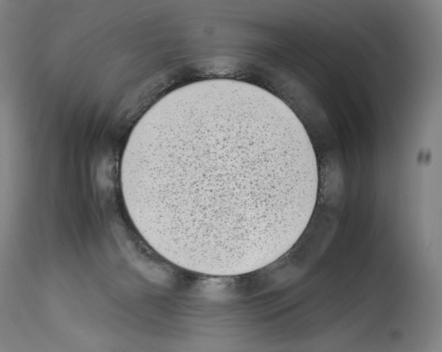 X0000113990126200911131126