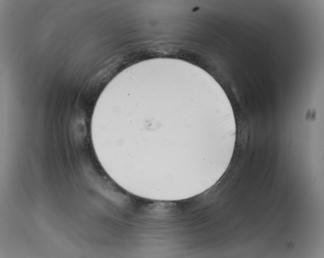 X0000113990128200911131126