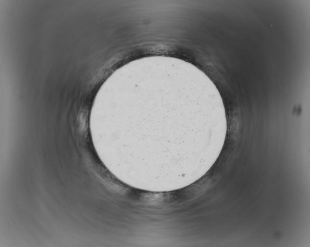 X0000113990131200911131126