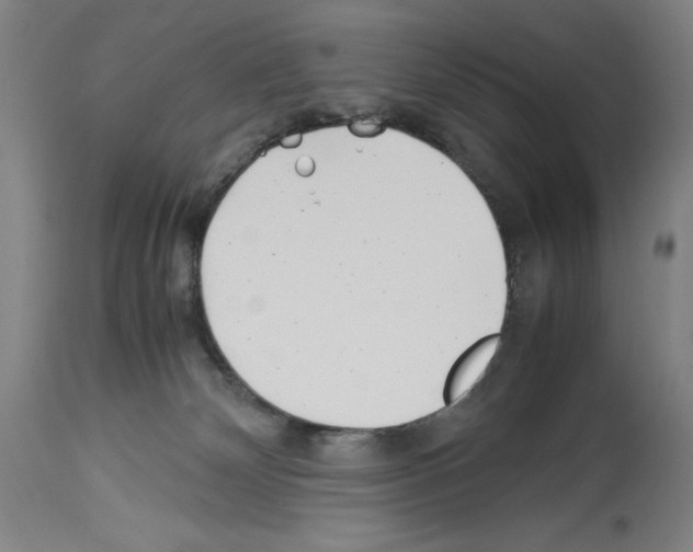 X0000113990132200911131126